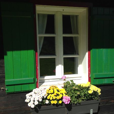 Ferienhaus Trausibauer 施泰因茨 外观 照片